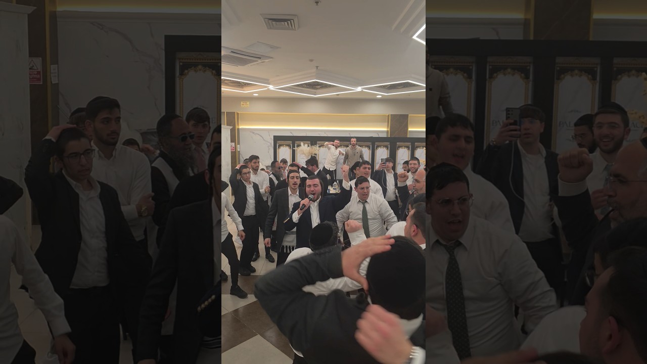 חתונה - שמעון לוי & דוד חי ✨️🎶