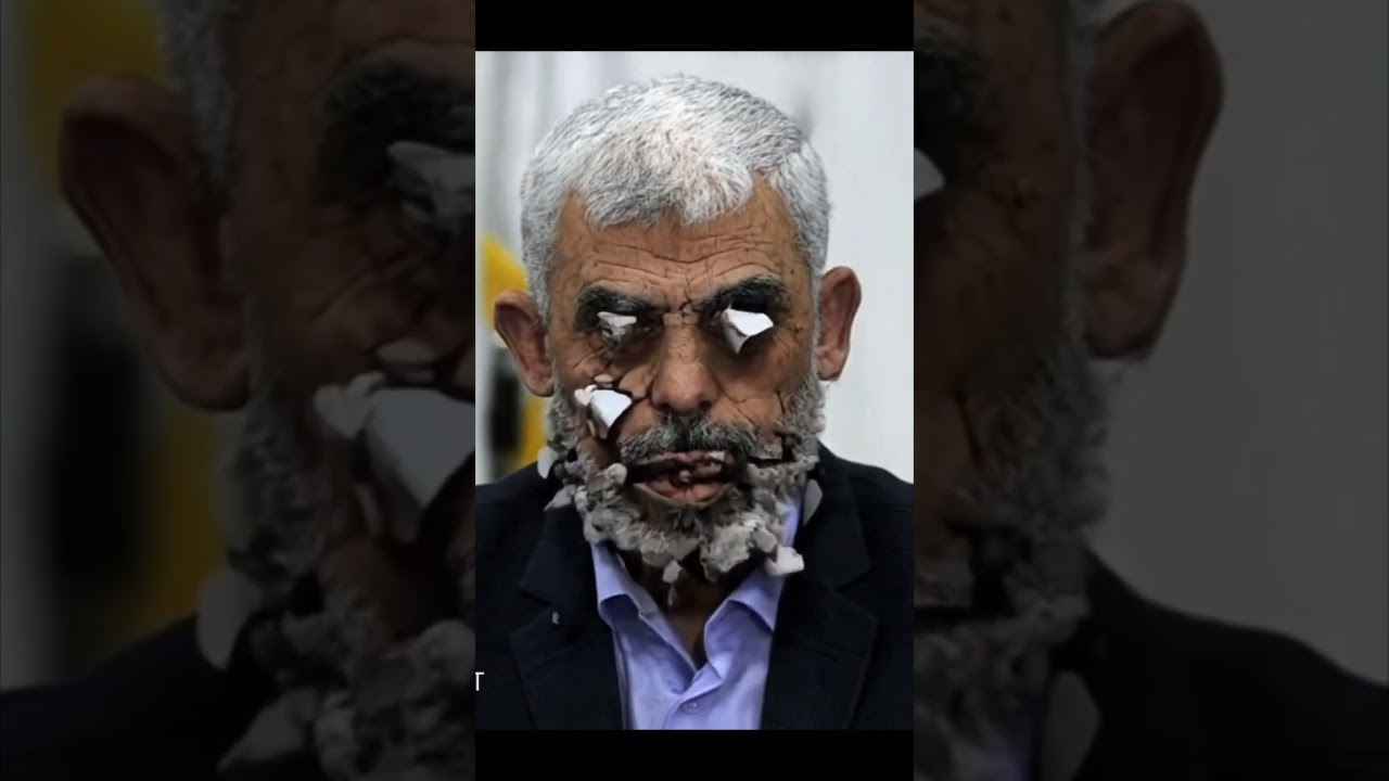 ביי ביי סינואר