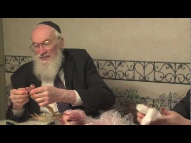 What's wrong with this chicken? - Bukka D'Atma (3 of 8)