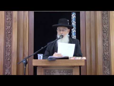 נשיאות כפיים - שיעור כללי מסכת כתובות - הרב יעקב אריאל