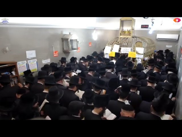 Replay: Jews Daven At The Zion Of Rebbe Elimeilach Of Lizensk In Poland On His Yurzeit