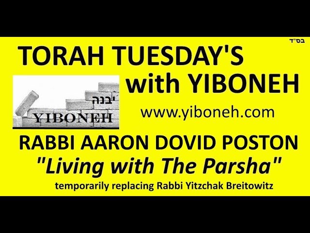 Rabbi Aaron Dovid Poston: The Sabbatical Year as a Paradigm Lesson in Trust in Hashem