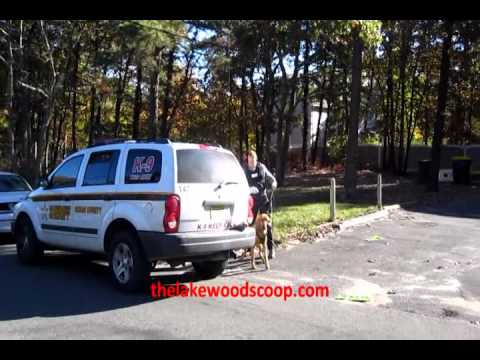 Stabbing Home Invasion K-9