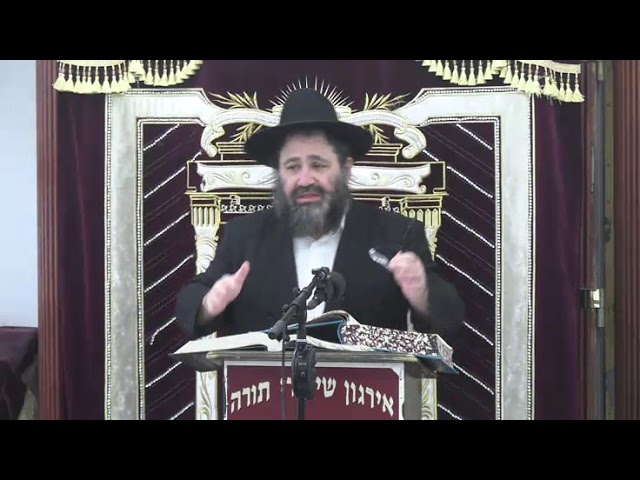 דיני נזקי שכנים - ר' שאול נוימאן שליט"א