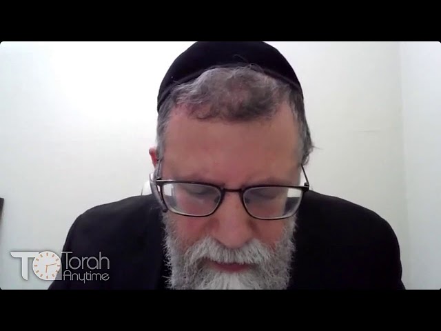 Rabbi Dov Brezak - Effective Discipline for Difficult Children Overview (from Torah Anytime)