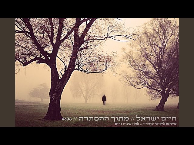 מתוך ההסתרה
