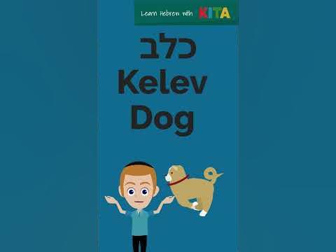 Learn Hebrew Pets in Seconds! לומדים חיות מחמד יחד