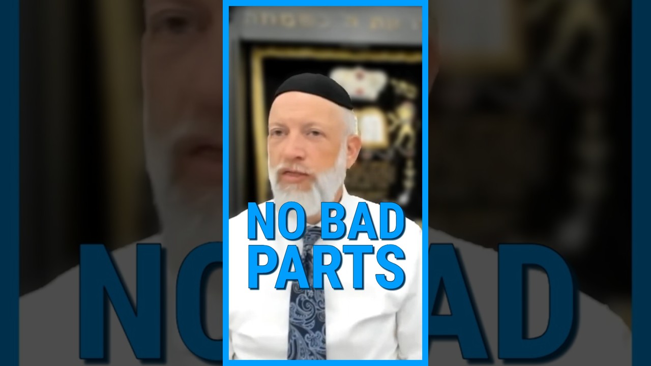 NO BAD PARTS