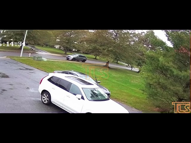 Burglars in Toms River