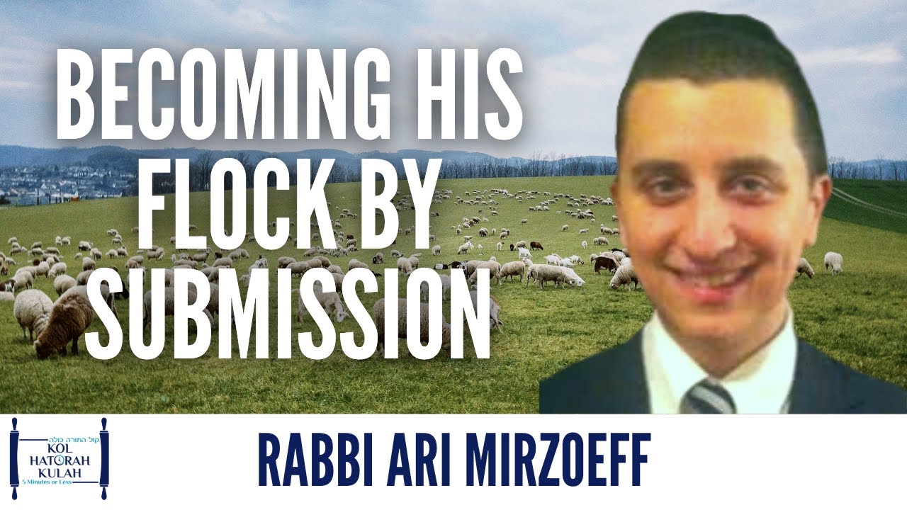 Becoming His Flock By Submission - Rabbi Ari Mirzoeff
