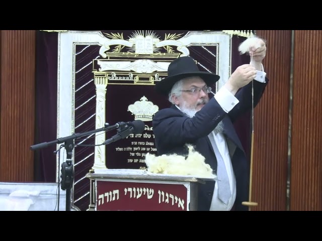 בגדים של שעטנז שנמצאו בשנה זו - ר' יוסף סאיאג שליט"א
