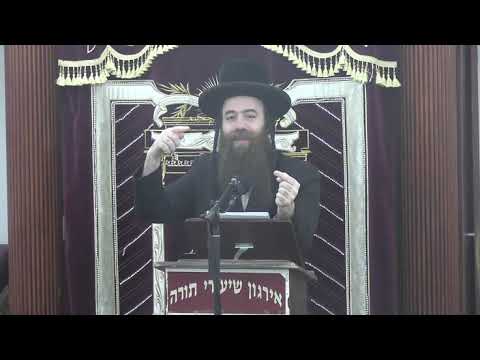 הלכות מוקצה בשבת -  ר‘ צבי זאב בערגער שליט“א