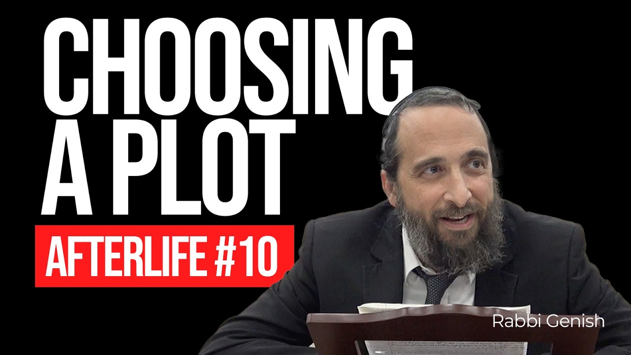 Choosing a Burial Plot (Afterlife #10)
