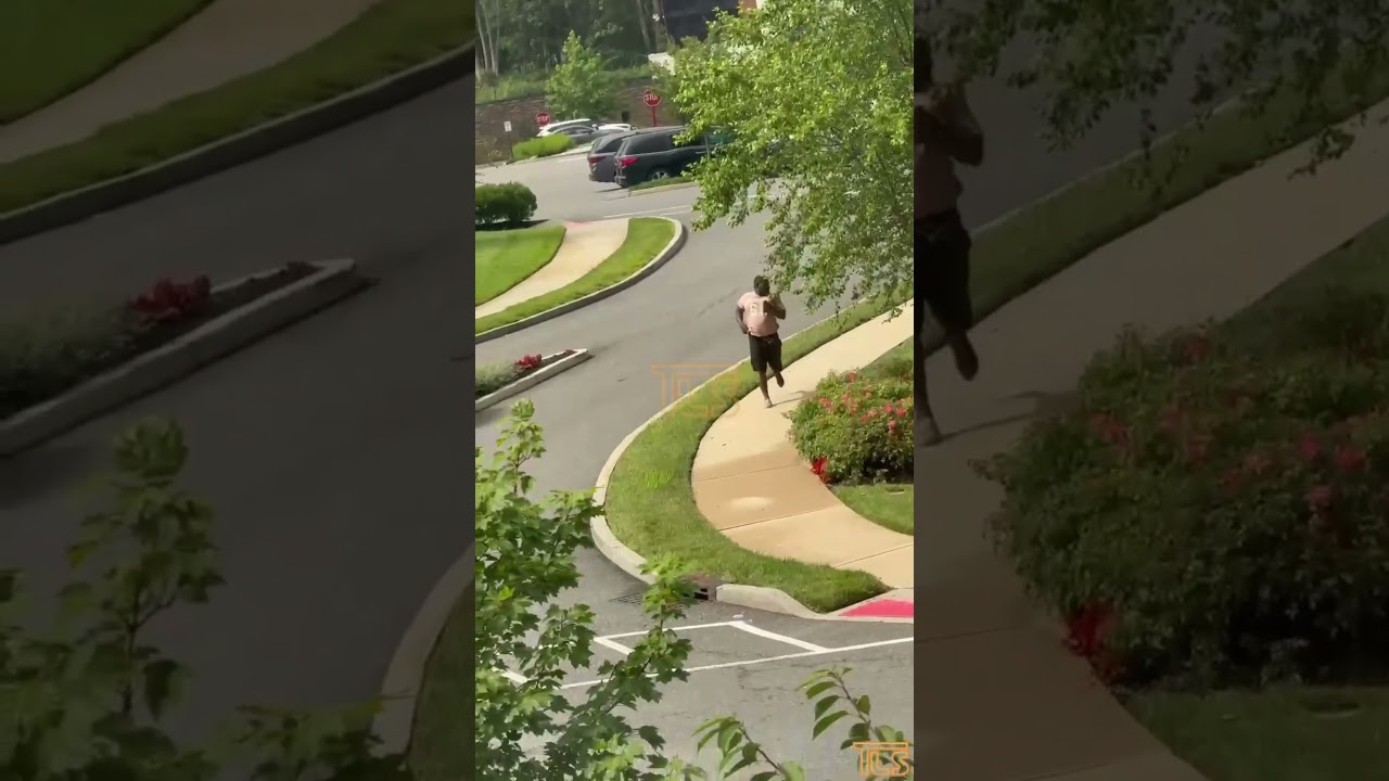 Passenger with warrant flees accident scene and hospital