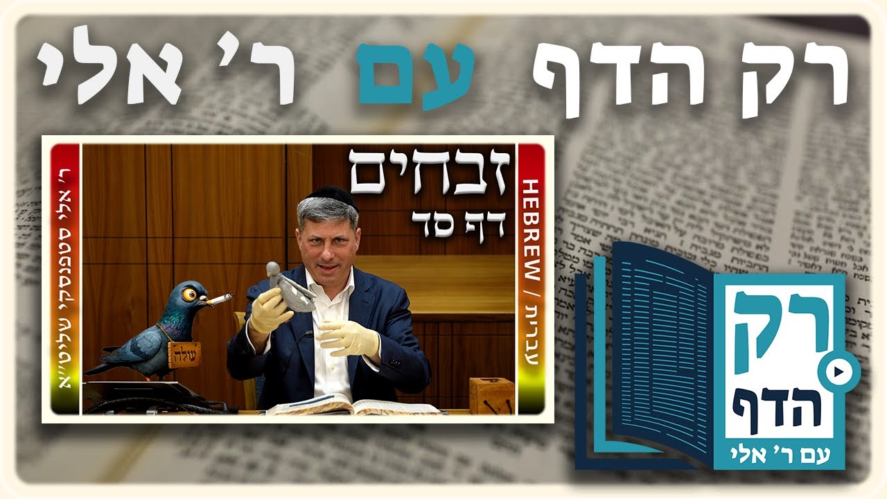 חזרה - זבחים דף סד | "רק הדף" עם ר' אלי סטפנסקי
