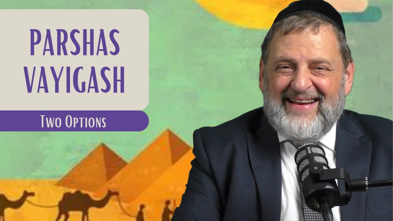 Vayigash - Two Options | Rabbi Dovid Orlofsky