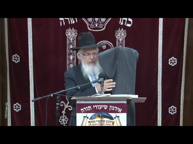 New Shatnez Alerts - Rabbi Yosef Sayagh