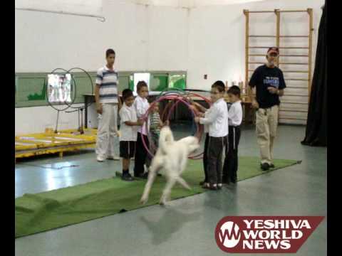 Police Dog Show in Achuzat Brachfeld during Chol HaMoed Sukkos 5770