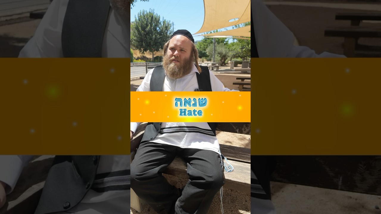 שנאה hate