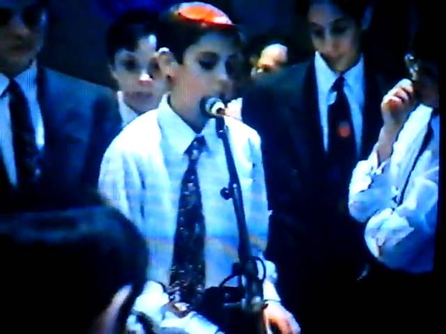 Ari Goldwag - Aleinu