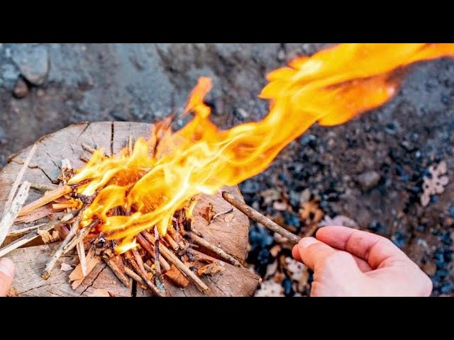 The Purpose of a Fire | Parshas Vayekhel-Pekudei