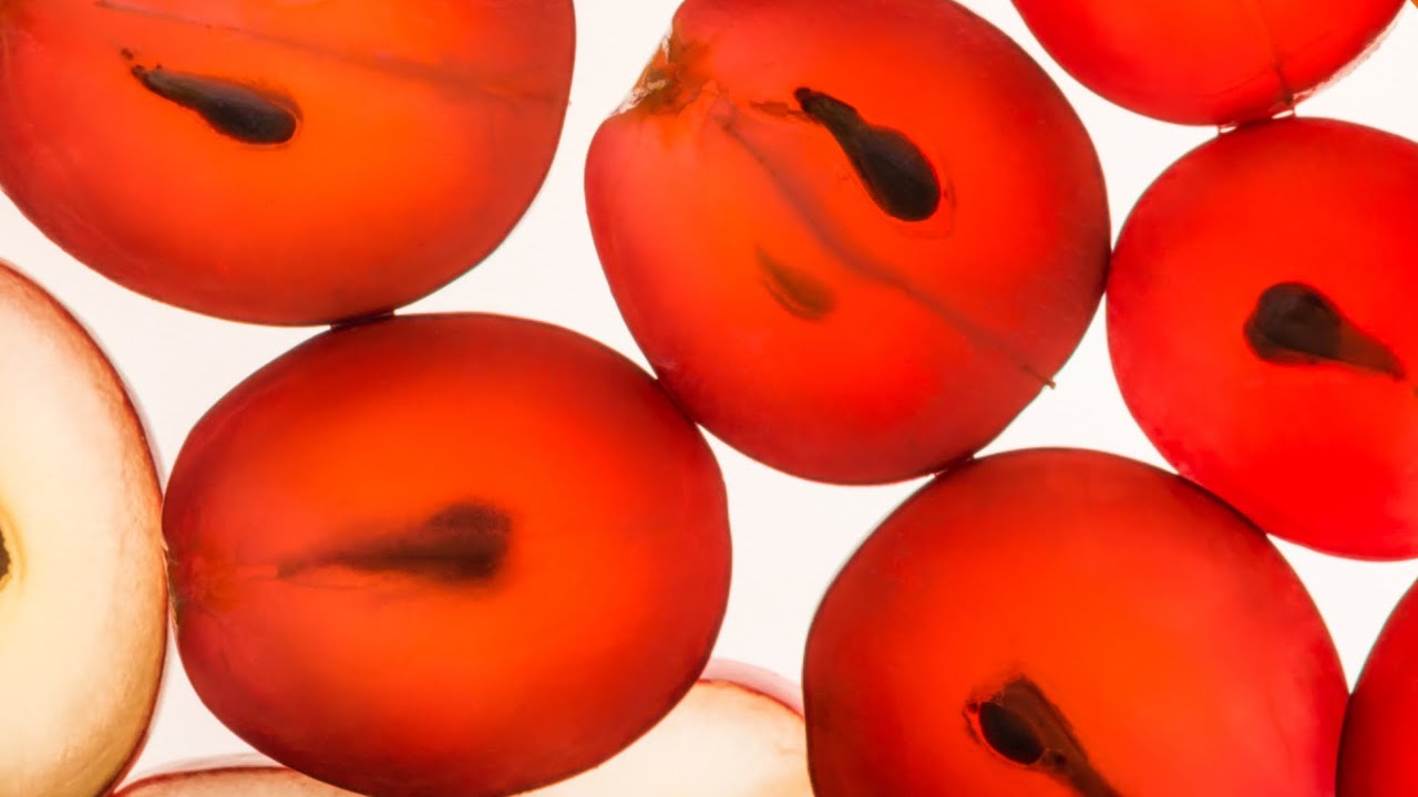 Life is Like a Grape (Parshas Shlach)