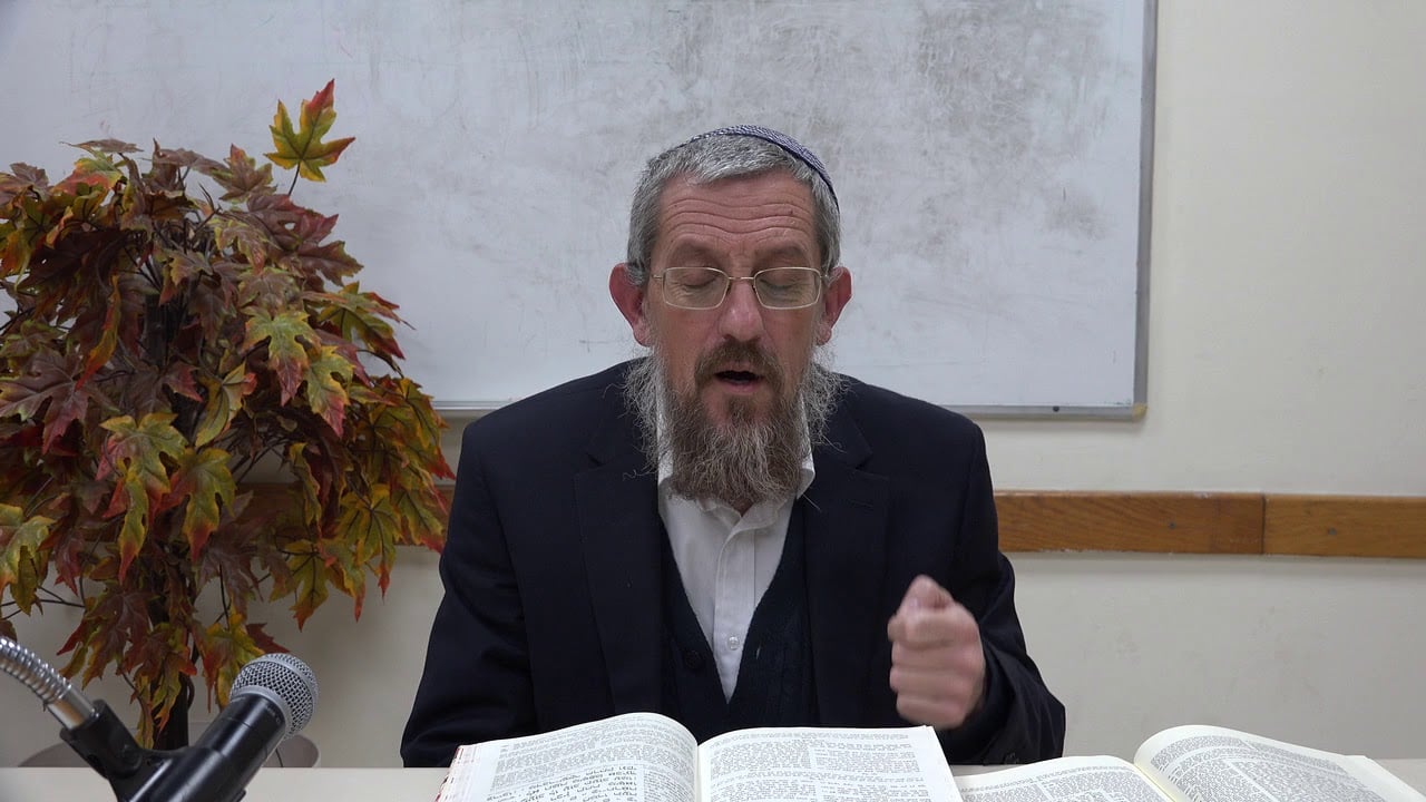 מוסקט # פרשת משפטים