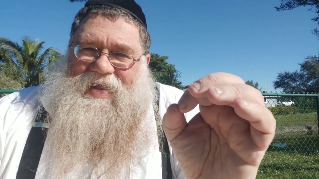 What did the Slabodka Rosh Yeshiva say about a Rebbe