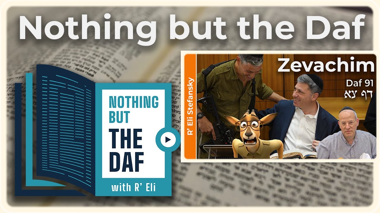 CHAZARAH - Zevachim Daf 91 | "Nothing but the Daf" with R' Eli Stefansky