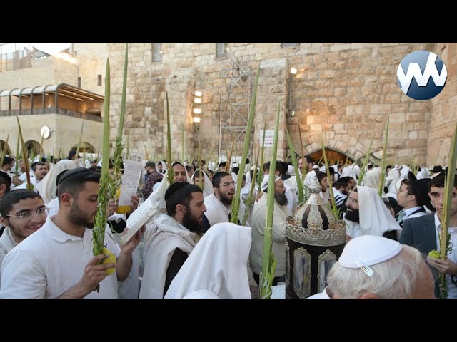 Hoshana Rabba by the Kosel - Sukkos 2025 | הושענא רבה בכותל המערבי - סוכות תשפ״ו