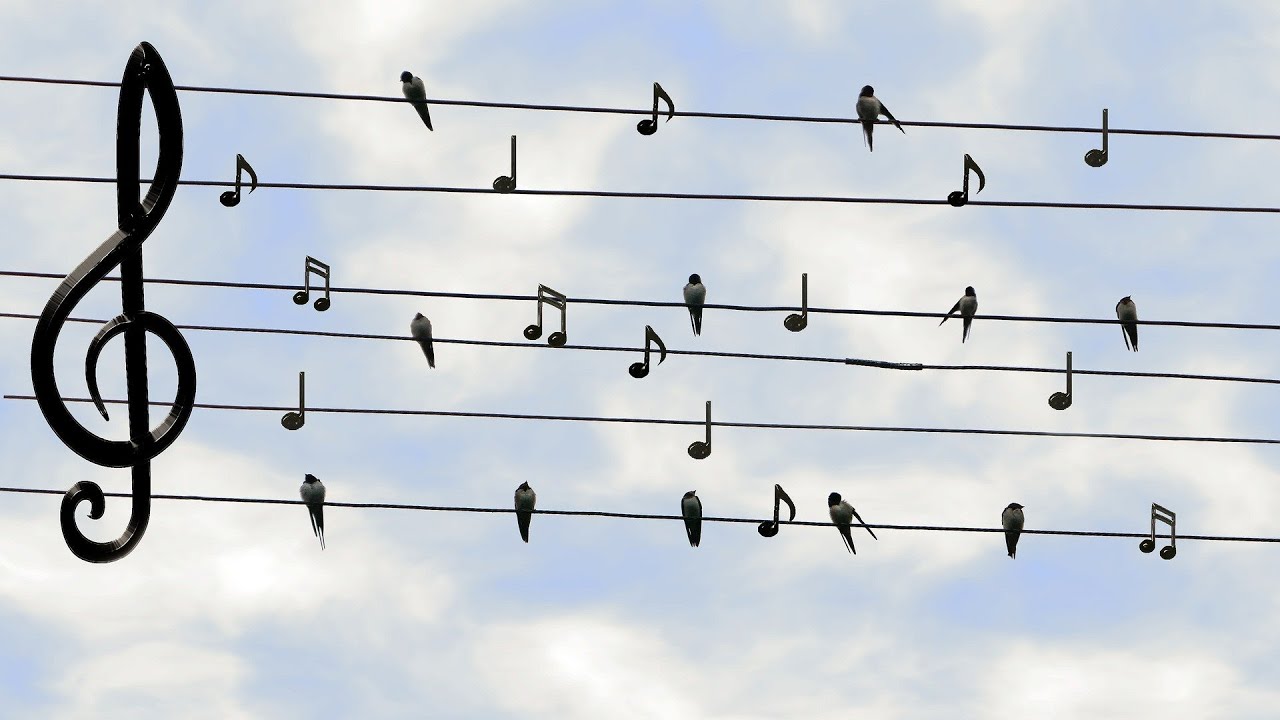 Hearing is Believing - Shavuot