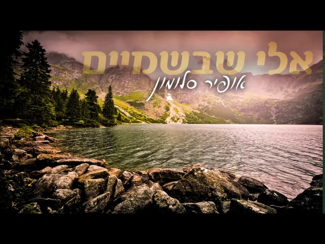 אופיר סלומון  -  אלי שבשמים