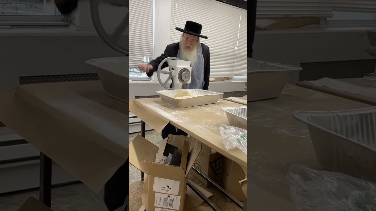 האדמו"ר מטאהש בטחינת חיטים למצות מצוה