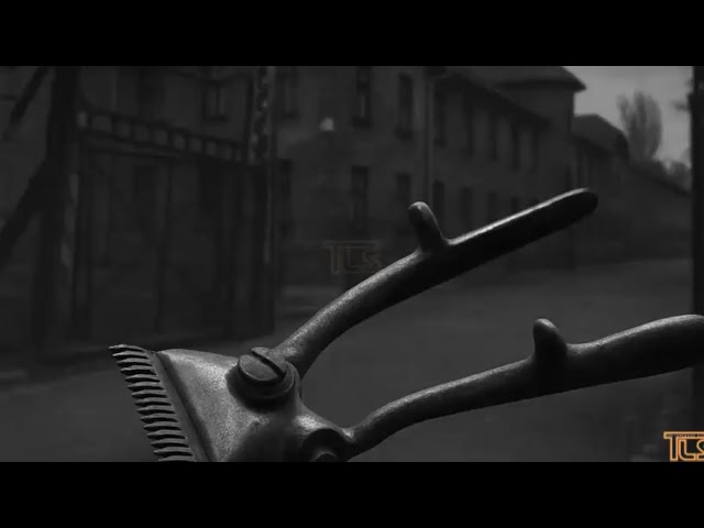 A clipper from Auschwitz?
