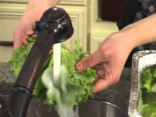 Insect-Free: A Guide to Home Vegetable Inspection - Leafy Vegetables (1 of 4)