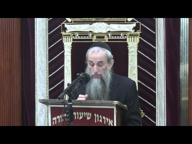 Summary: May I Carry Here? - Rabbi Yakov Zev Smith