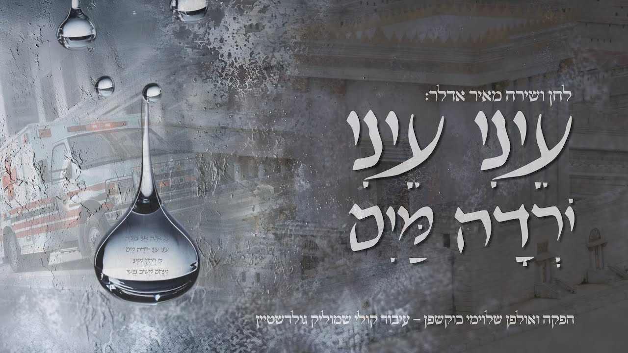 מאיר אדלר - עיני עיני | Meir Adler - Eini Eini