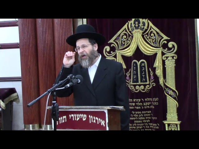הכנה לפורים - הרב אליעזר בוים,
