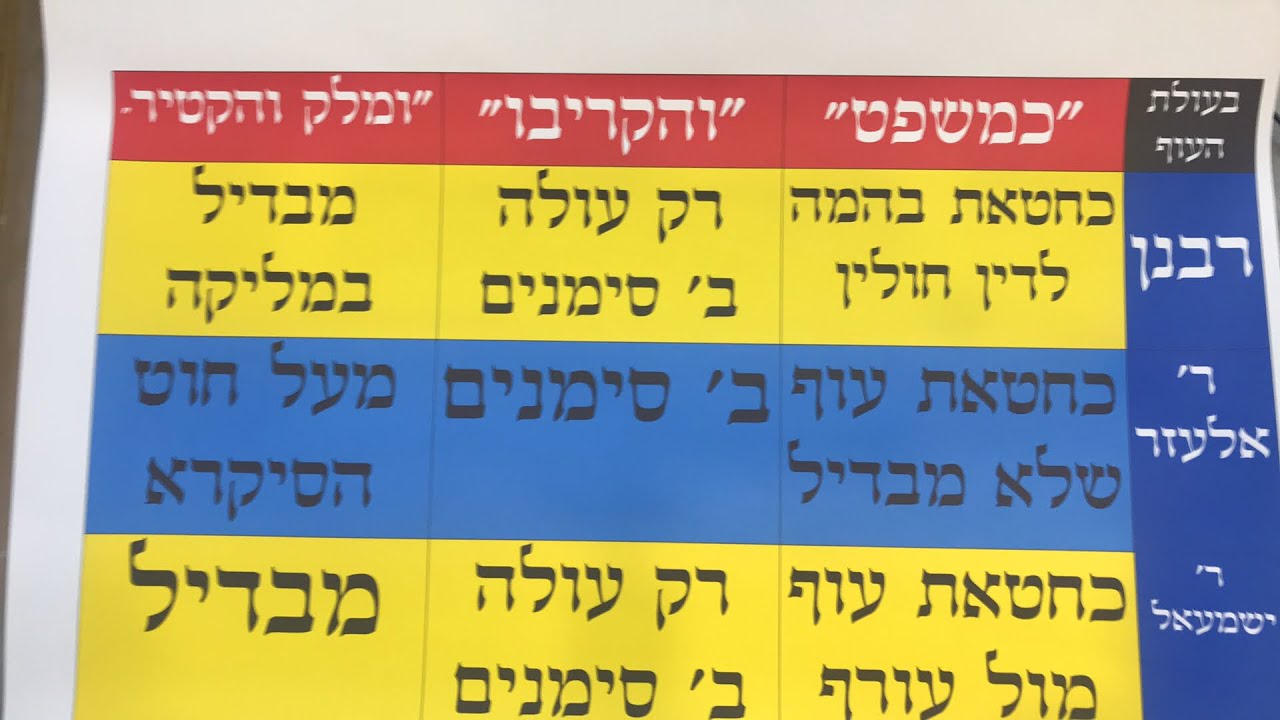 Daf Yomi Chulin Daf 22 by R’ Eli Stefansky