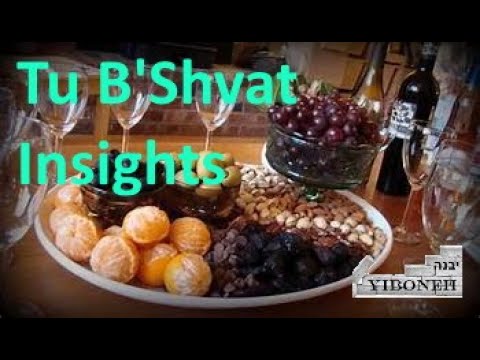 Tu B'Shvat Primer (Preparation) with Rabbi Aaron Dovid Poston and Rabbi Yitzchak Breitowitz
