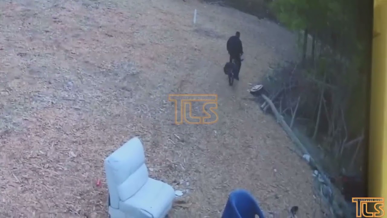 Man steals bike in Lakewood