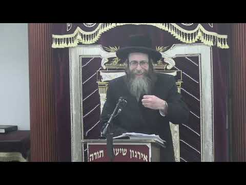 מלאכת צובע בשבת - באוכלין, משקין, וכדומה - ר' צבי אונסדארפער שליט"א