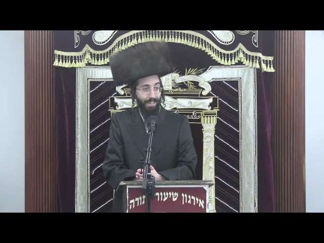 פרנסה בהלכה - ר' אלעזר ניסן רובין שליט"א