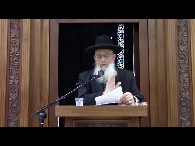 "שתוקי" שיעור כללי מסכת כתובות - הרב יעקב אריאל