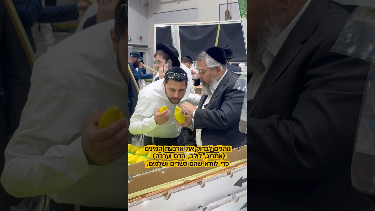 חג שמח 🇮🇱🤍 #סוכות #חגשמח #עםישראלחי