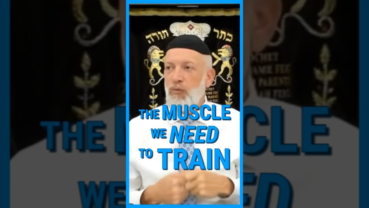 The MUSCLE we need to train