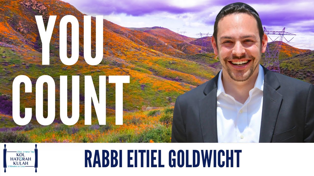 You Count- Rabbi Eitiel Goldwicht