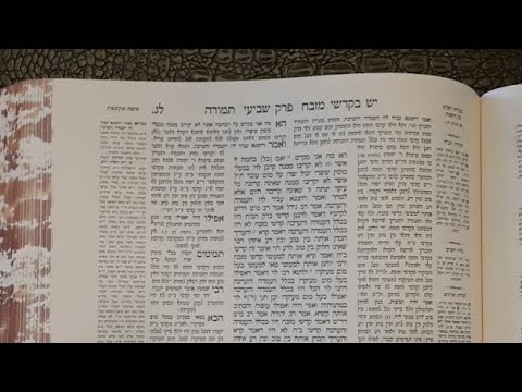 Daf Yomi Temurah Daf 33 by R’ Yedidya Kramer
