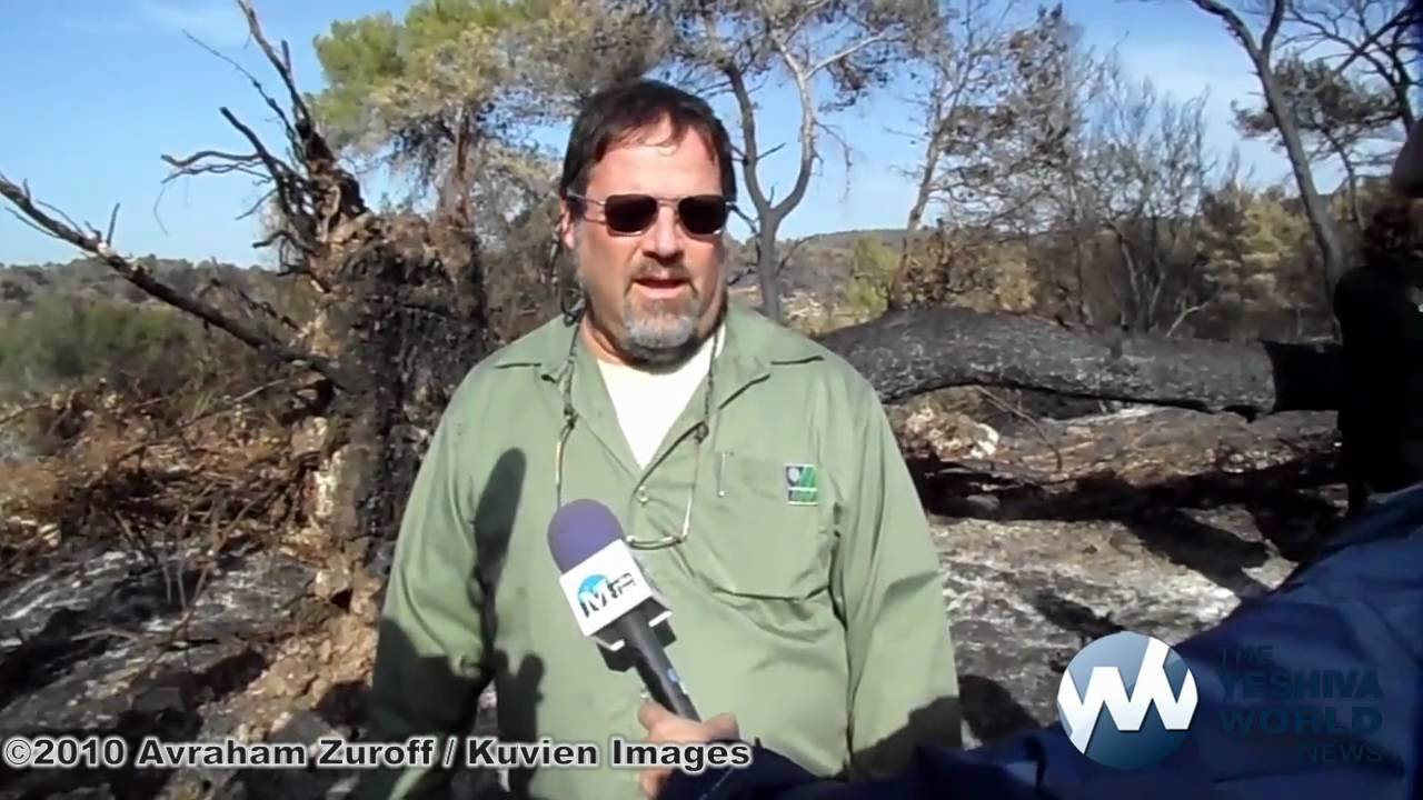 Aftermath of Northern Israel Wildfire