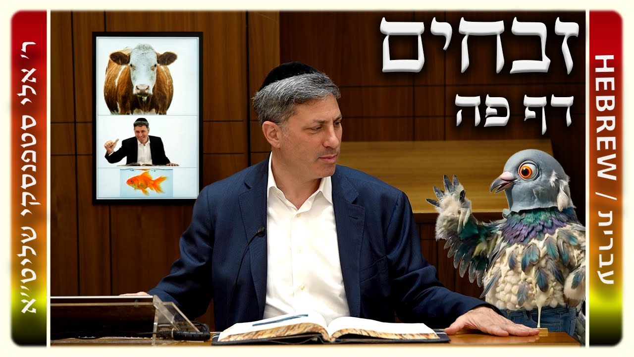 מרכז דף יומי - זבחים דף פה. - ר' אלי סטפנסקי שליט"א